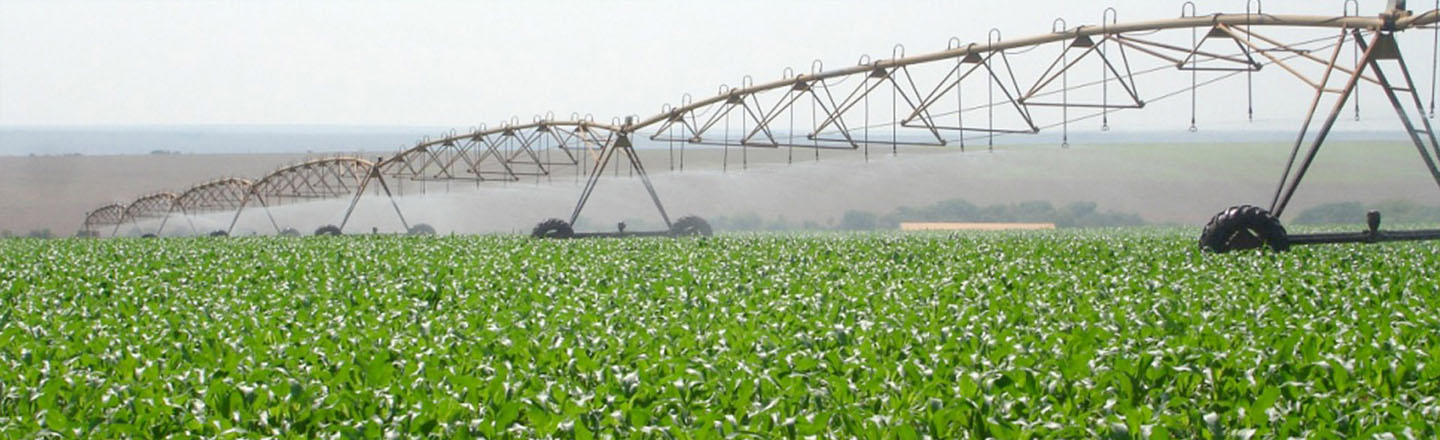 Consubio - Assessoria e Consultoria Ambiental